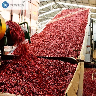 벨트 드라이어 머신 페퍼 칠리 크라이산테움 벨트 드라이어 탈수