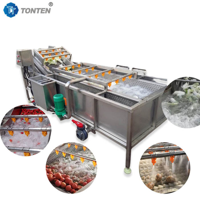 440V 식품 청소 기계 올리브 아보카도용 산업용 채소 세탁기